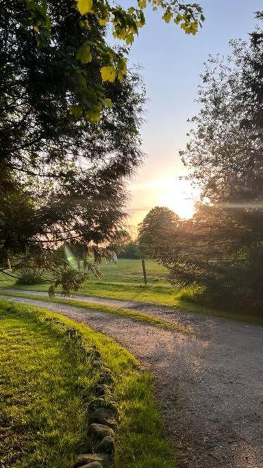 Idyllisches Appartement Nahe Ostsee Und Schlei Rabenkirchen-Faulück Buitenkant foto