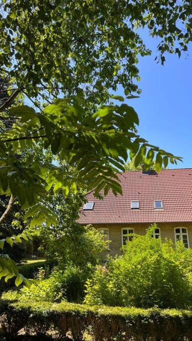 Idyllisches Appartement Nahe Ostsee Und Schlei Rabenkirchen-Faulück Buitenkant foto